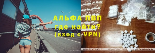 гидра Аркадак