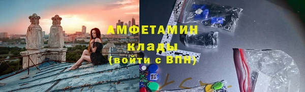 гидра Аркадак