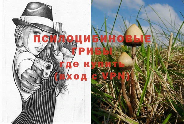 гидра Аркадак