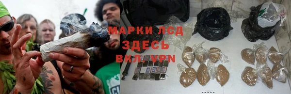 прущая мука Арсеньев