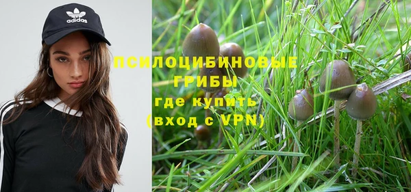 прущая мука Арсеньев