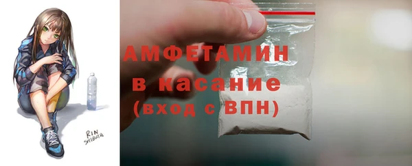 гидра Аркадак