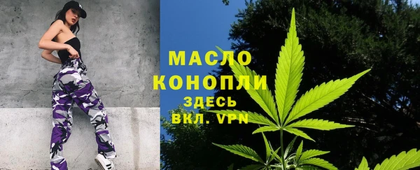 гидра Аркадак