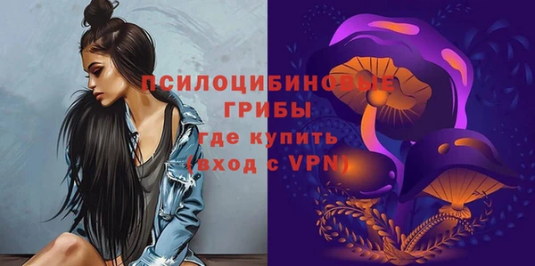 прущая мука Арсеньев