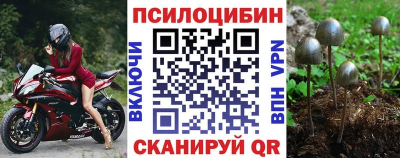 Галлюциногенные грибы GOLDEN TEACHER  Козьмодемьянск 